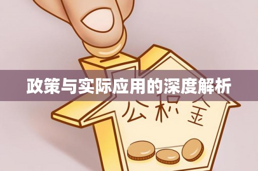 新宁政策与实际应用的深度解析