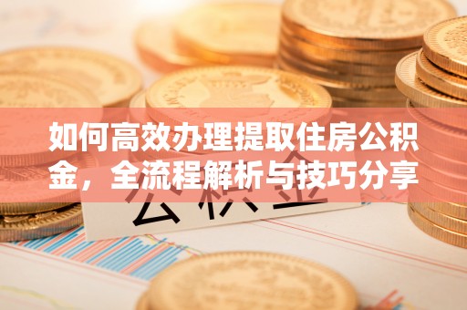 新宁如何高效办理提取住房公积金，全流程解析与技巧分享