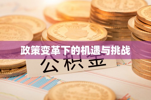 新宁政策变革下的机遇与挑战