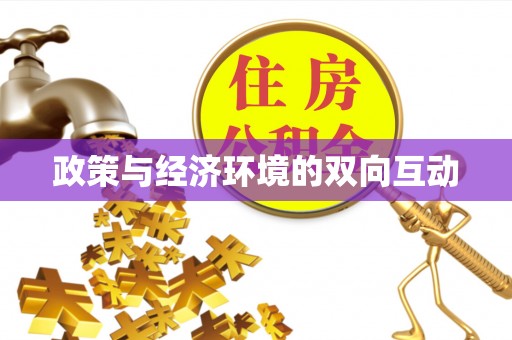 新宁政策与经济环境的双向互动
