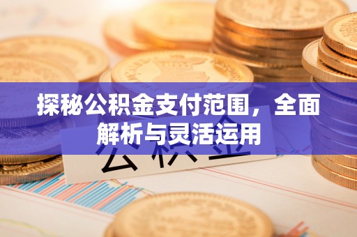 新宁探秘公积金支付范围，全面解析与灵活运用
