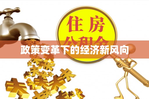 新宁政策变革下的经济新风向
