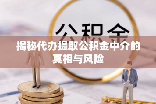 新宁揭秘代办提取公积金中介的真相与风险