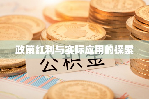 新宁政策红利与实际应用的探索