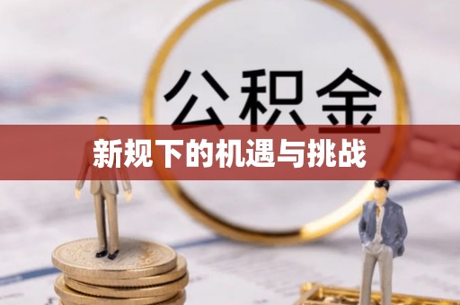 新宁新规下的机遇与挑战