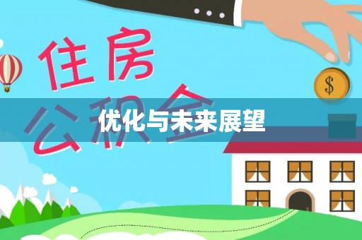 新宁优化与未来展望