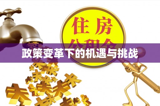 新宁政策变革下的机遇与挑战