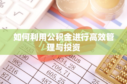 新宁如何利用公积金进行高效管理与投资