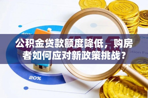 新宁公积金贷款额度降低，购房者如何应对新政策挑战？