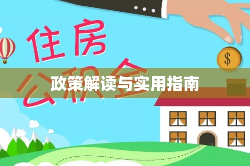 新宁政策解读与实用指南