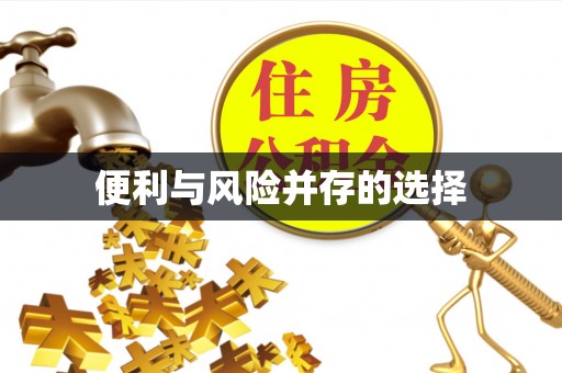 新宁便利与风险并存的选择