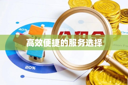 新宁高效便捷的服务选择