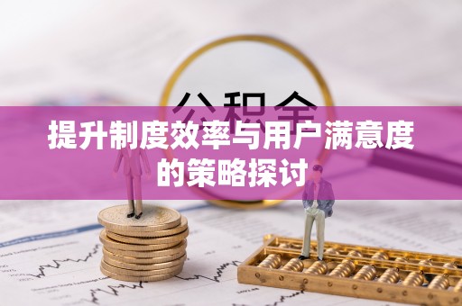 新宁提升制度效率与用户满意度的策略探讨